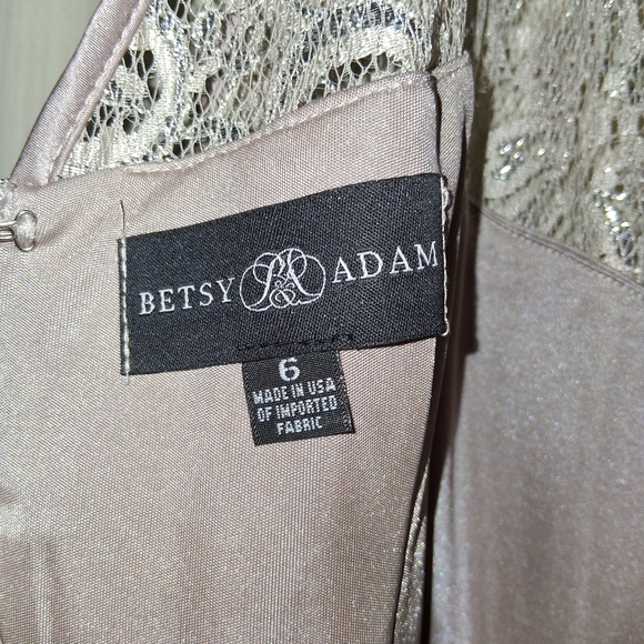 Betsy & Adam Silver Lace Midi Dress - Picture 3 of 3